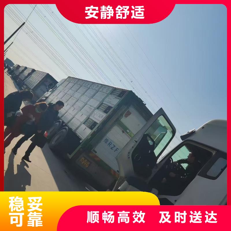 沭阳县到高栏车肥猪运输快捷