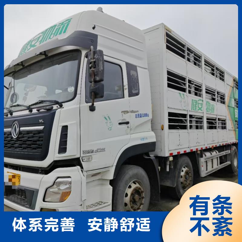 沭阳县到高栏车肥猪运输快捷