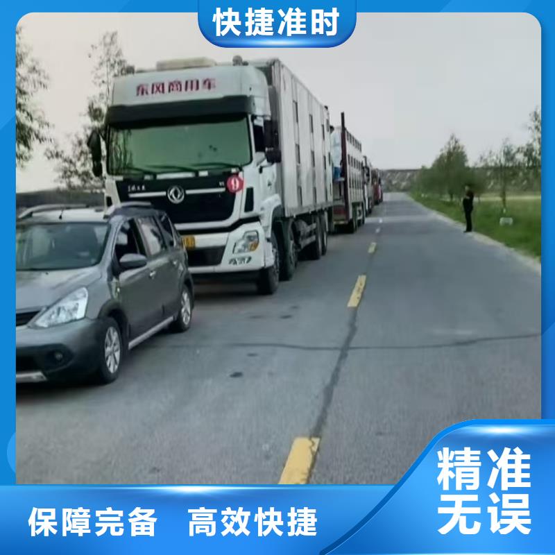 沭阳县到高栏车肥猪运输快捷