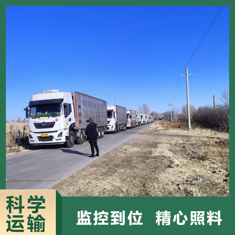 沭阳县到高栏车肥猪运输快捷