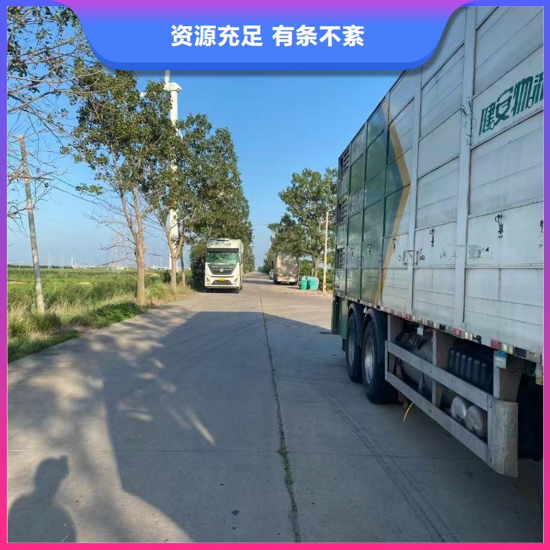 嘉兴到种猪恒温车运输品质卓越