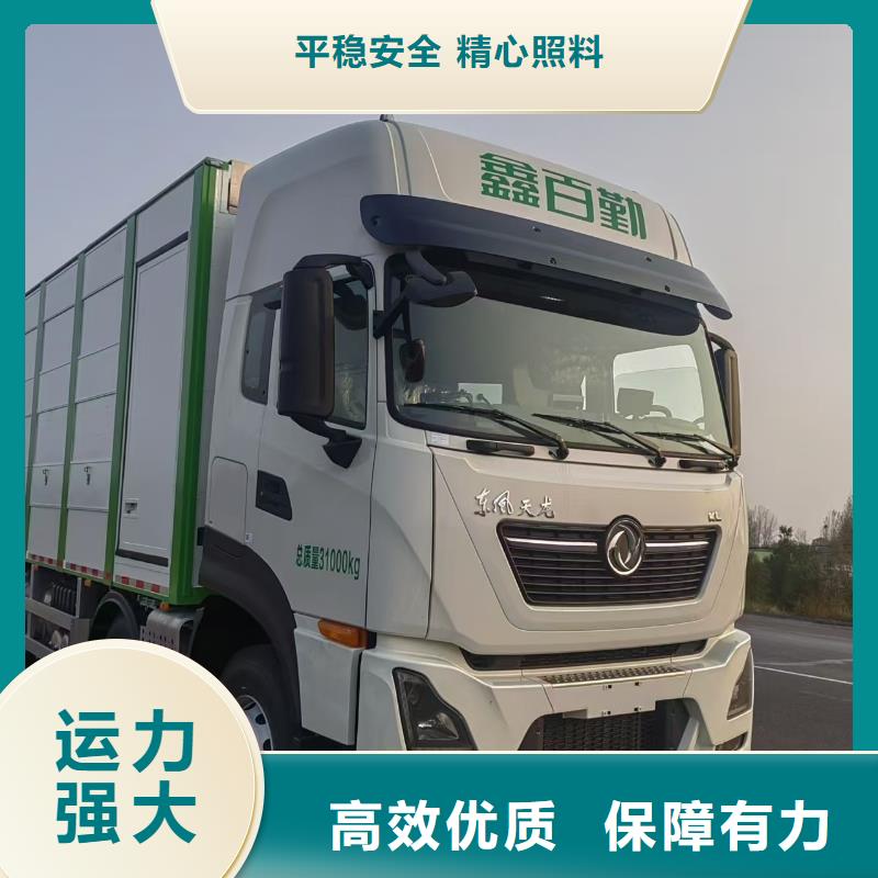 宿迁市到种猪空调车运输行业领先