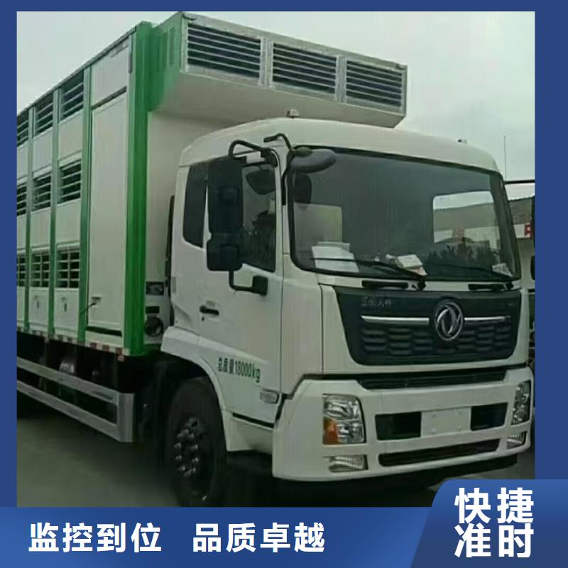 沭阳县到高栏车肥猪运输快捷