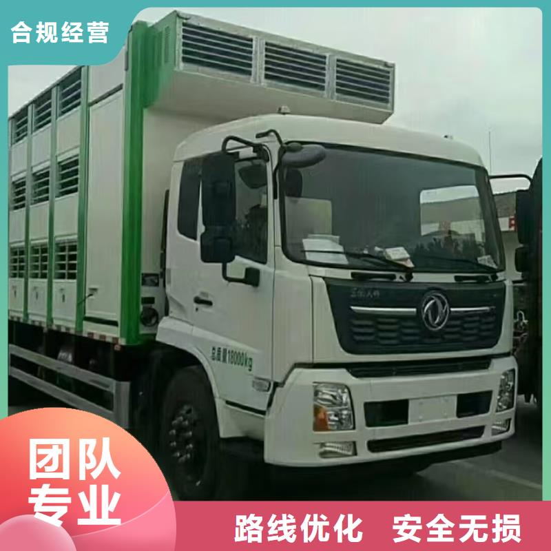 嘉兴到种猪恒温车运输品质卓越