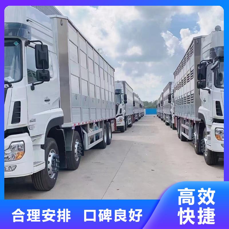 三门峡到仔猪空调车运输小心谨慎