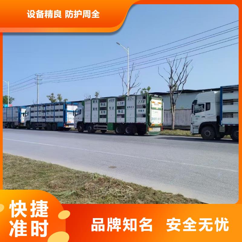 嘉兴到种猪恒温车运输品质卓越