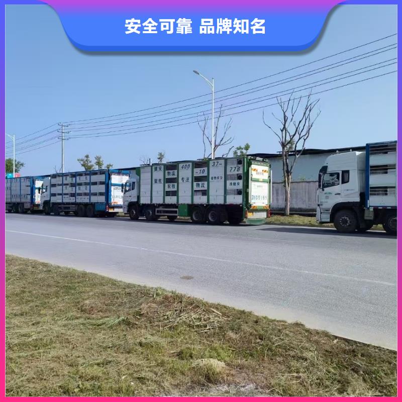 沭阳县到高栏车肥猪运输快捷
