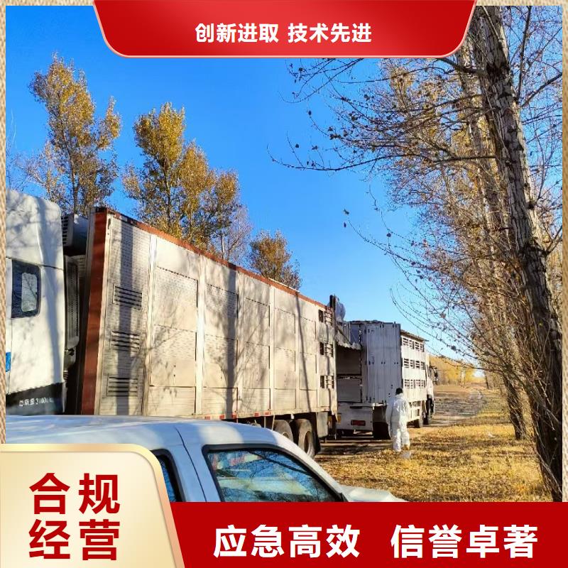 宿迁到二育运输支持到付