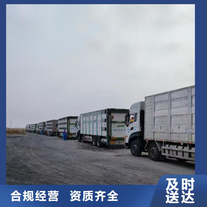 沭阳县到高栏车肥猪运输快捷