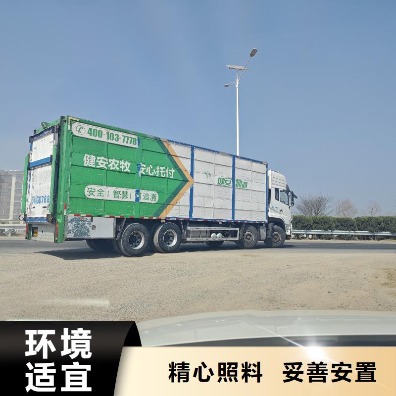 宿迁到羊运输专用车团队专业