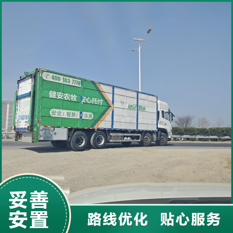 三门峡到仔猪空调车运输小心谨慎
