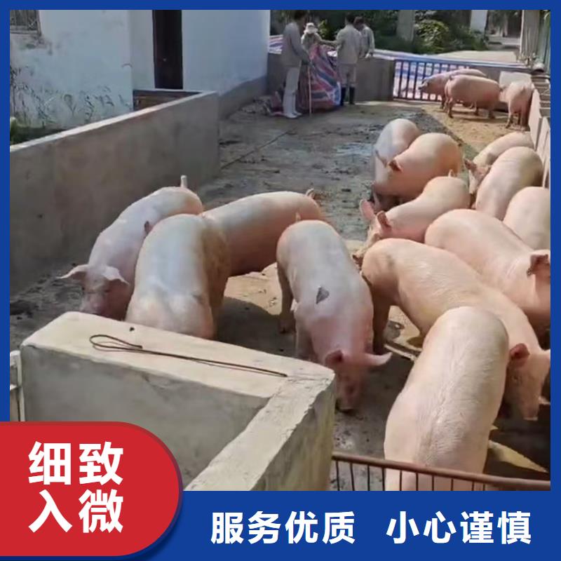 宿迁到二育运输支持到付