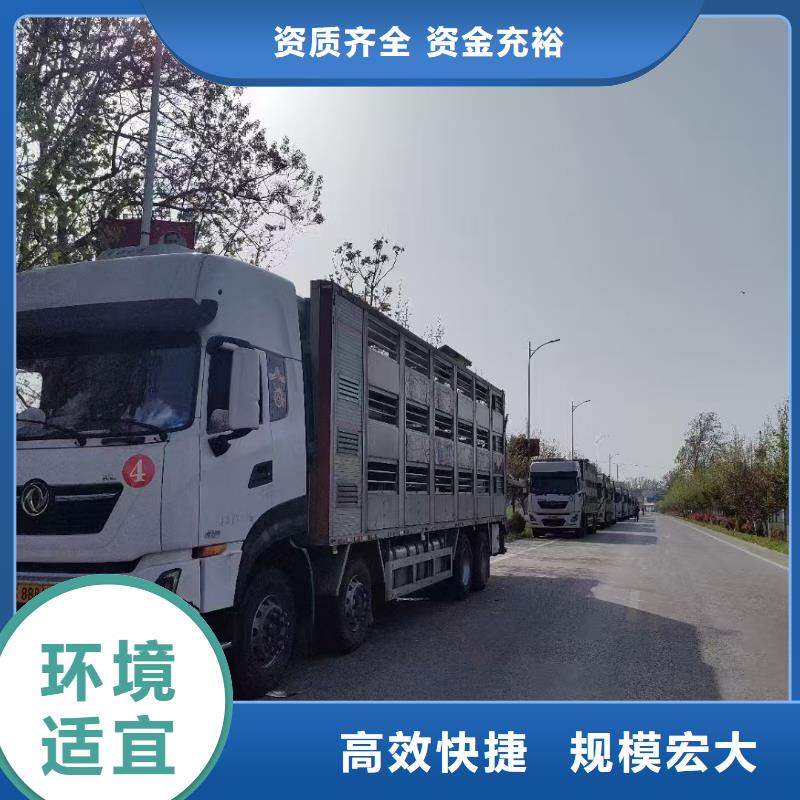 南阳到农牧物流精准无误