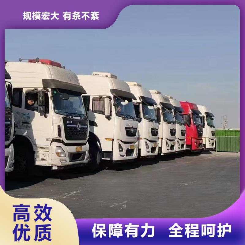 嘉兴到种猪恒温车运输品质卓越