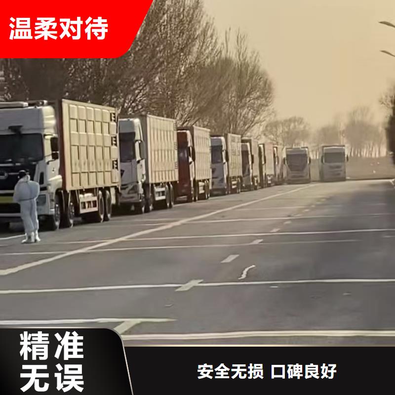 沭阳县到高栏车肥猪运输快捷