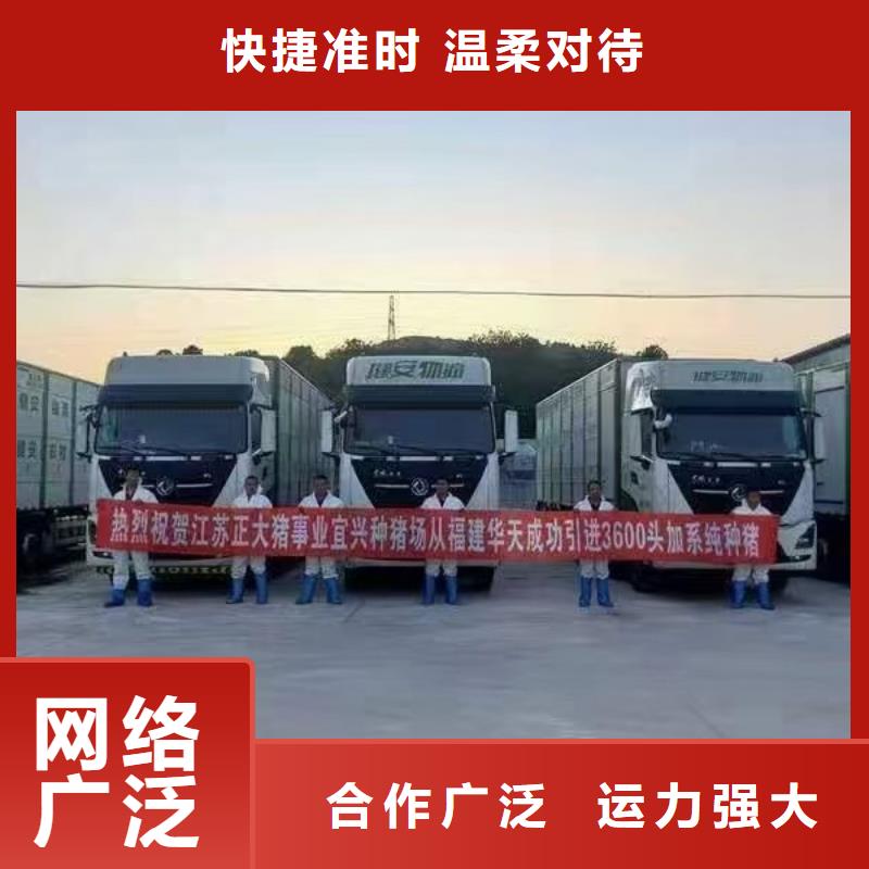 沭阳县到高栏车肥猪运输快捷