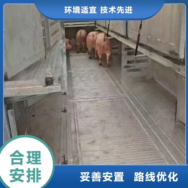 宿迁市到种猪空调车运输行业领先