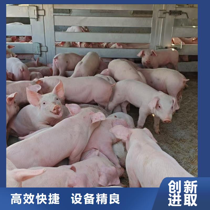宿迁到二育运输支持到付