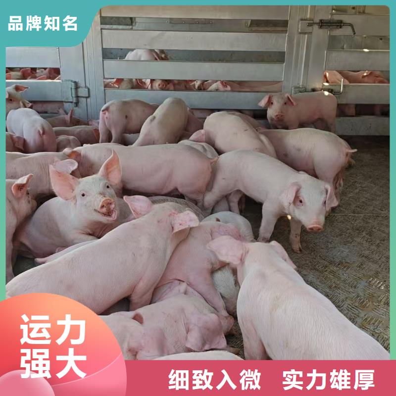 宿迁到二育运输支持到付