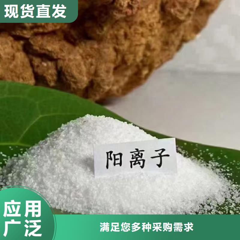 阴离子聚丙烯酰胺工艺先进