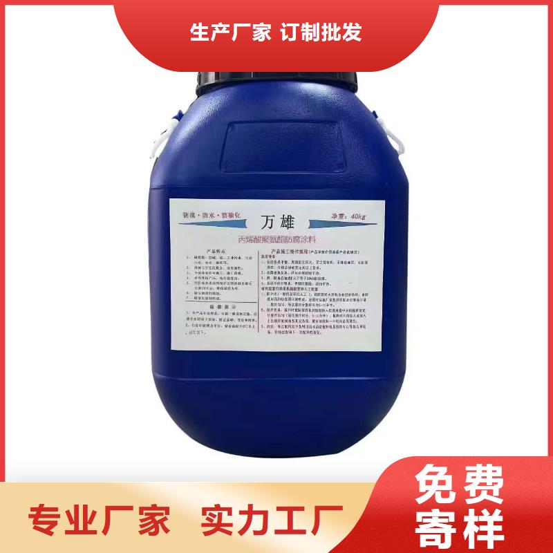 乙烯基酯厚浆型防腐防水涂料可有保障厂家供应PEO无机防腐防水砂浆