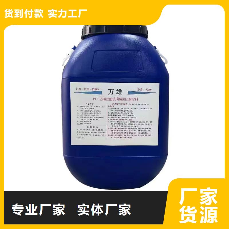 乙烯基酯厚浆型防腐防水涂料可有保障厂家供应PEO无机防腐防水砂浆