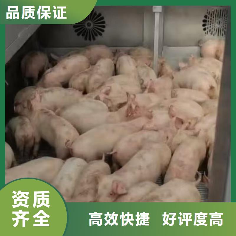 宿迁到农牧物流整车运输
