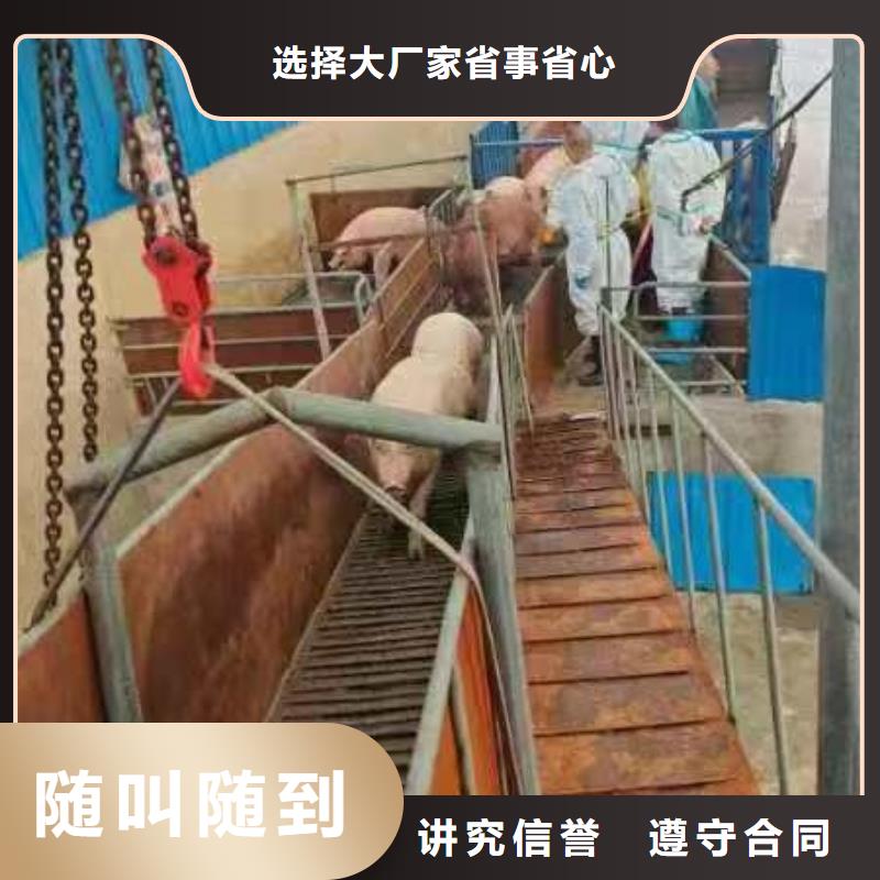 淮阴到猪牛羊运输恒温车注重质量