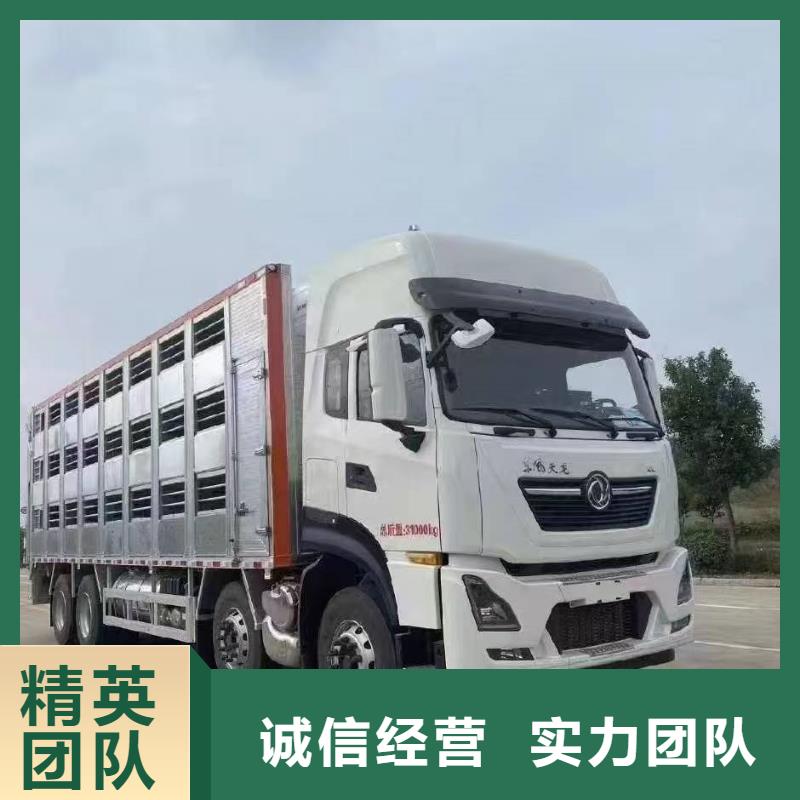 聊城至牲畜运输调度精准