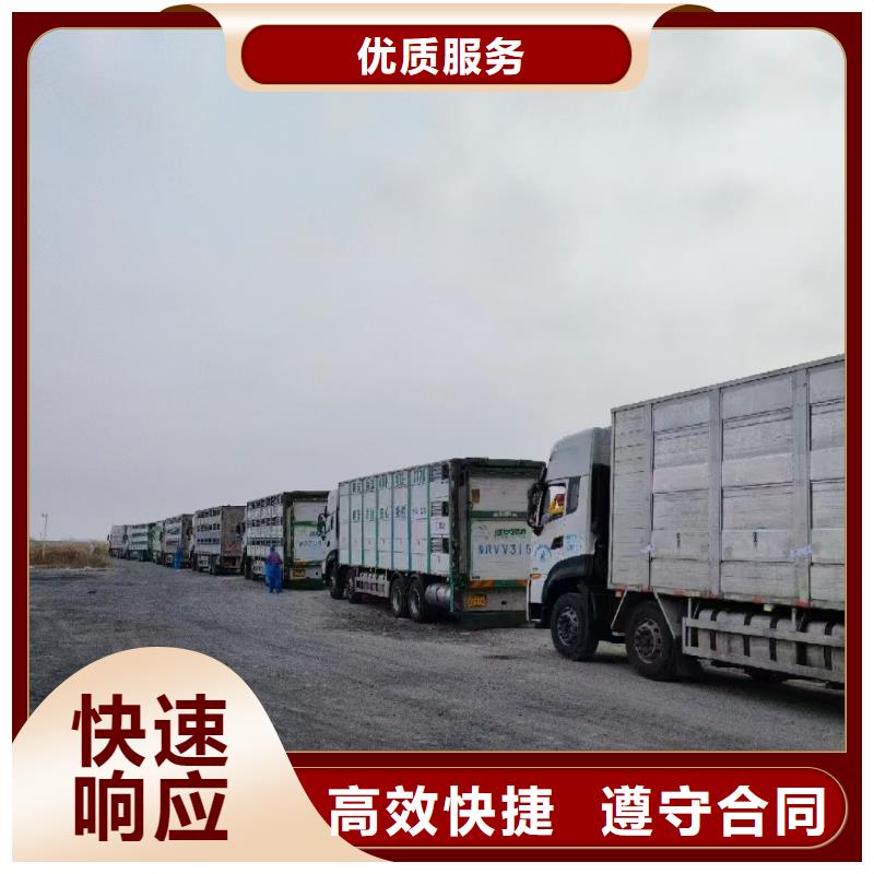信阳到农牧运输恒温车资质齐全