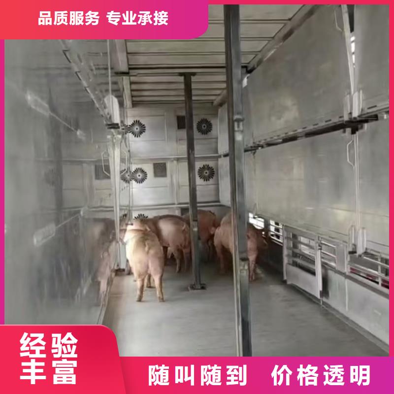 台州至仔猪空调车运输实力雄厚