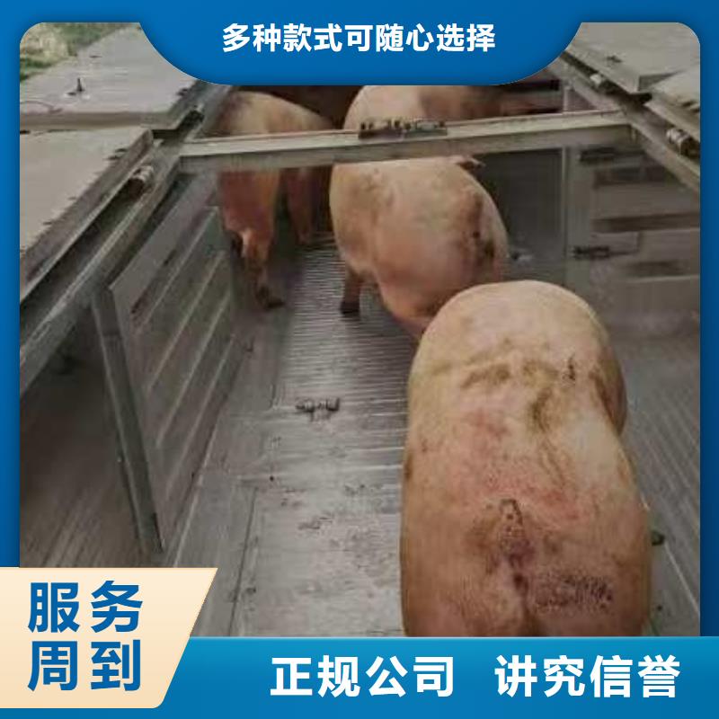 淮南到牛运输专用车管理规范