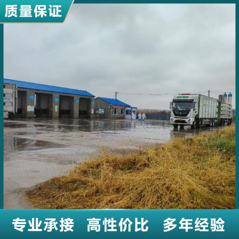 六安到生猪物流周到细致