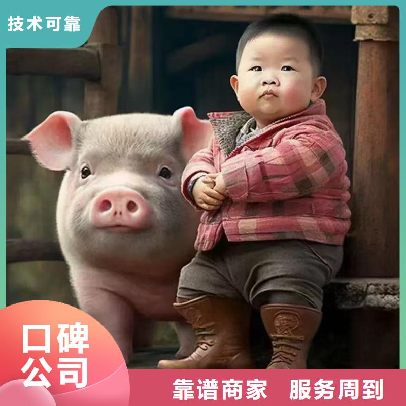 宿迁到农牧物流整车运输