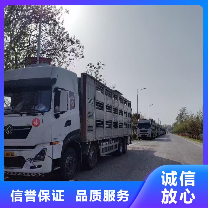 安徽至猪牛羊运输空调车实力商家