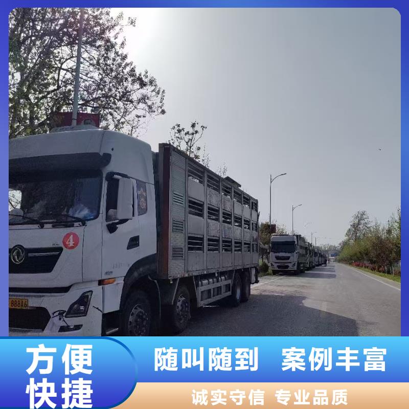 淮南到牛运输专用车管理规范