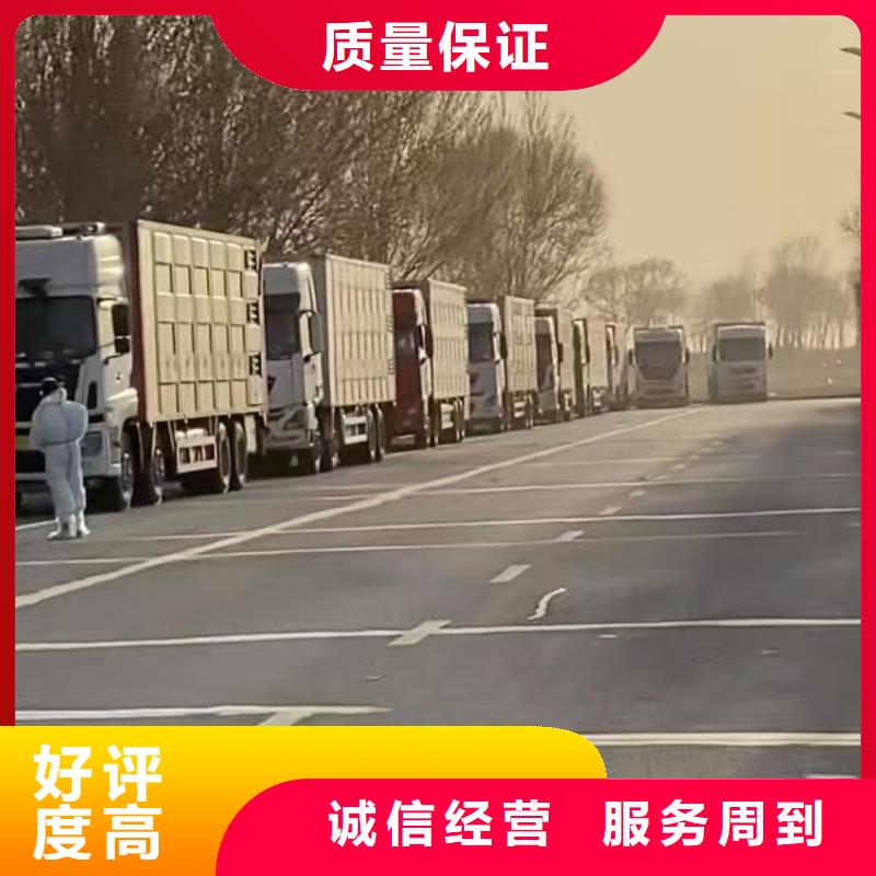 台州至仔猪空调车运输实力雄厚
