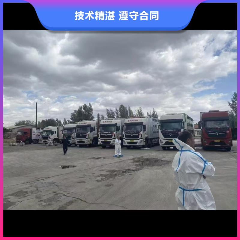 淮阴到猪牛羊运输恒温车注重质量