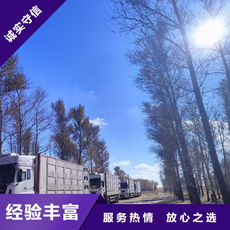 六安到生猪物流周到细致