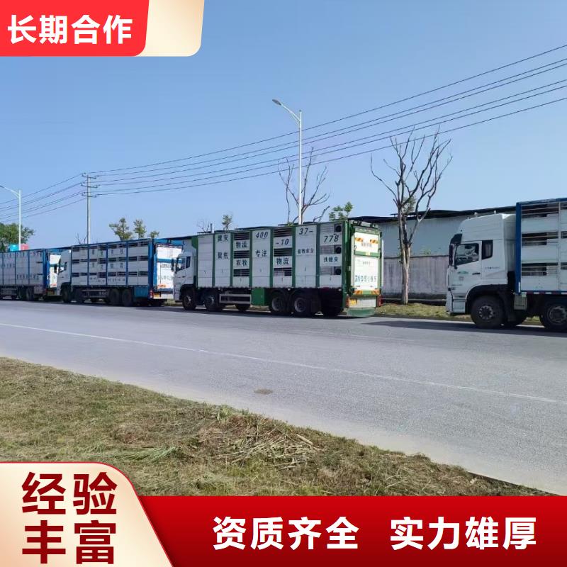 信阳到农牧运输恒温车资质齐全