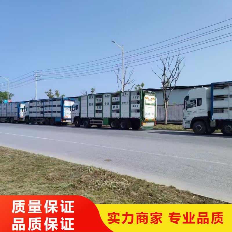 台州至仔猪空调车运输实力雄厚