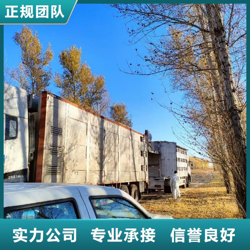 宿迁到牲畜运输妥善安置