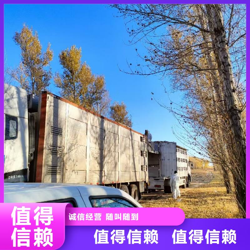 台州至仔猪空调车运输实力雄厚
