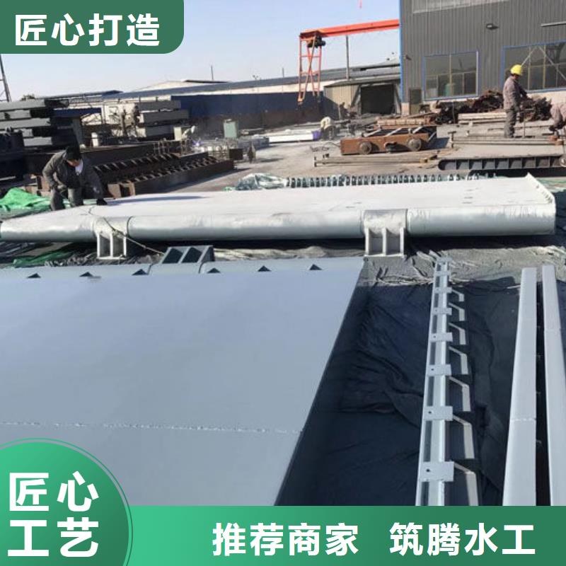 翻板闸门规格齐全实力厂家