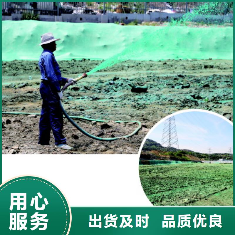 结壳抑尘剂专用绿色浆今日