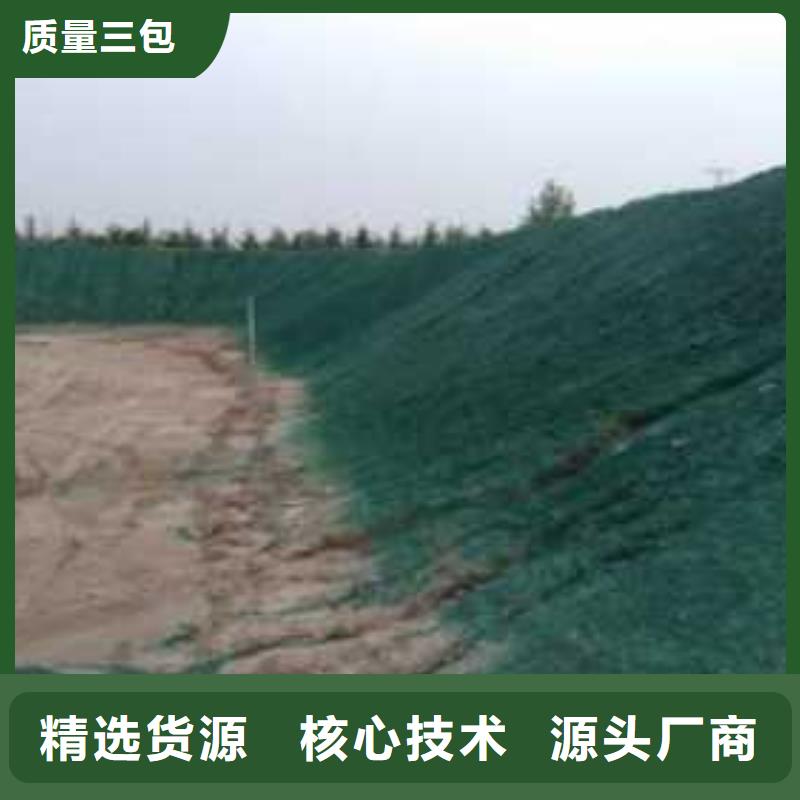 结壳抑尘剂实力厂家