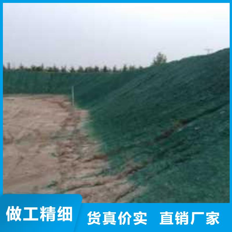 生物酶降尘剂实力厂家