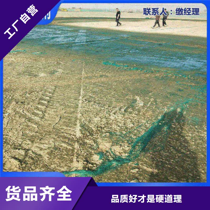 道路生物型降尘剂生产厂家
