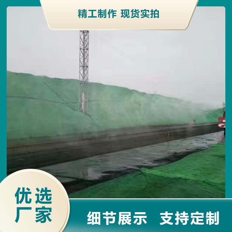 道路生物型降尘剂生产厂家